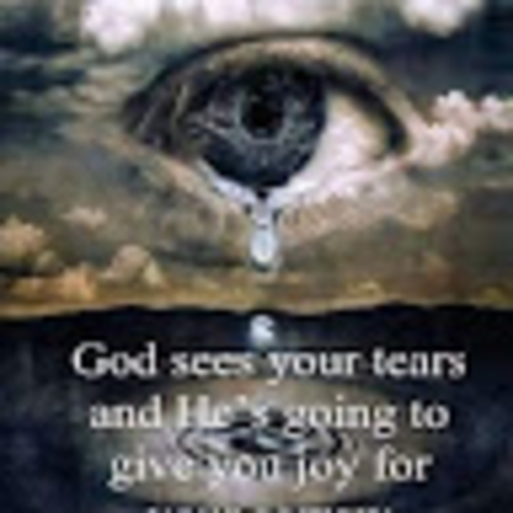 Meet your Posher, Charlotte